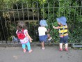 /album/gallery/august-12-weeks-6th-13th-117-jpg/